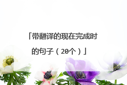 带翻译的现在完成时的句子（20个）