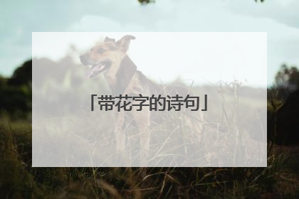 带花字的诗句