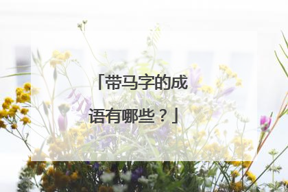 带马字的成语有哪些？