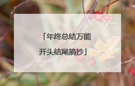年终总结万能开头结尾摘抄