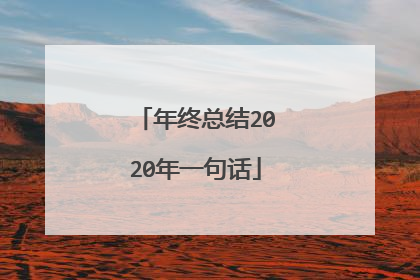 年终总结2020年一句话