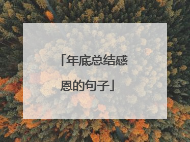 年底总结感恩的句子