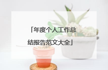 年度个人工作总结报告范文大全