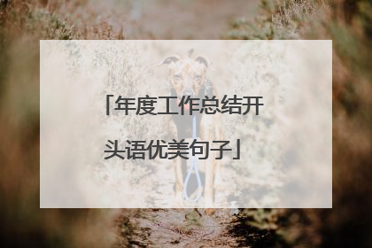 年度工作总结开头语优美句子