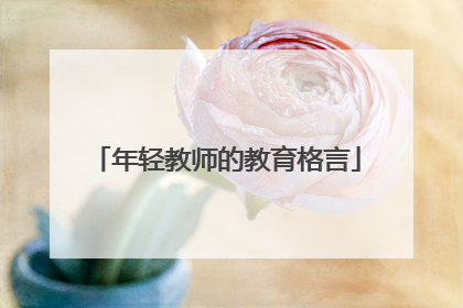 年轻教师的教育格言
