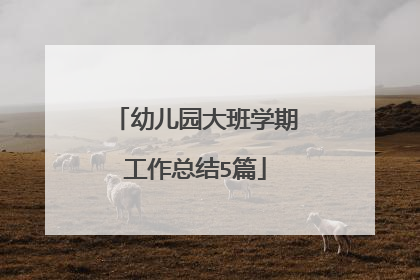 幼儿园大班学期工作总结5篇