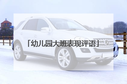 幼儿园大班表现评语