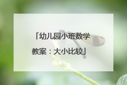 幼儿园小班数学教案：大小比较