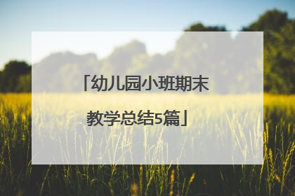 幼儿园小班期末教学总结5篇