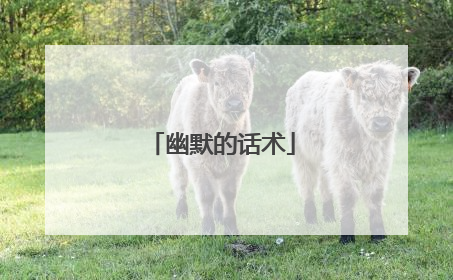幽默的话术