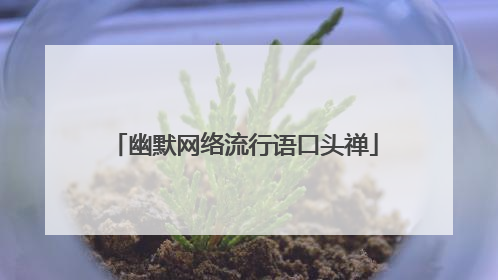 幽默网络流行语口头禅