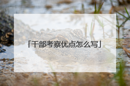 干部考察优点怎么写