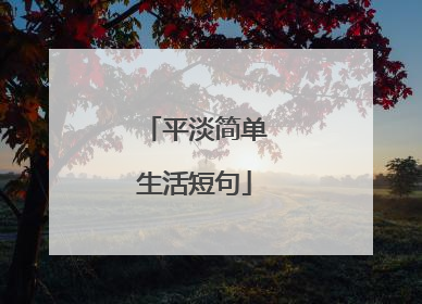 平淡简单生活短句