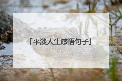 平淡人生感悟句子