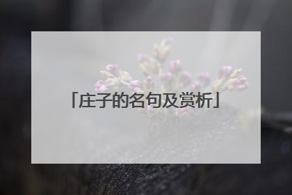 庄子的名句及赏析