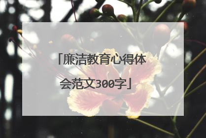 廉洁教育心得体会范文300字