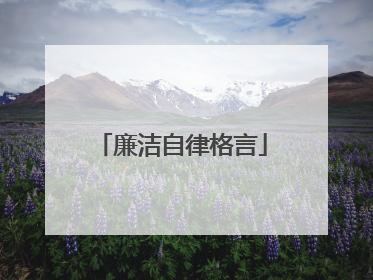 廉洁自律格言