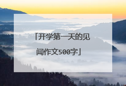 开学第一天的见闻作文500字