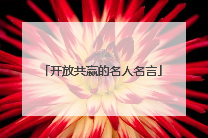 开放共赢的名人名言
