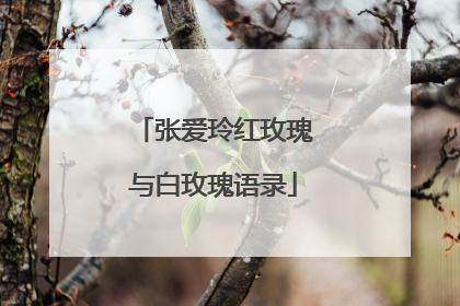张爱玲红玫瑰与白玫瑰语录