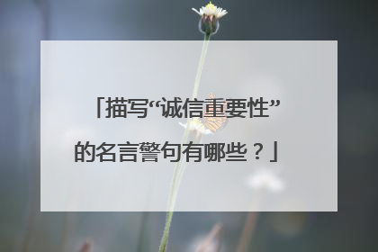 描写“诚信重要性”的名言警句有哪些？