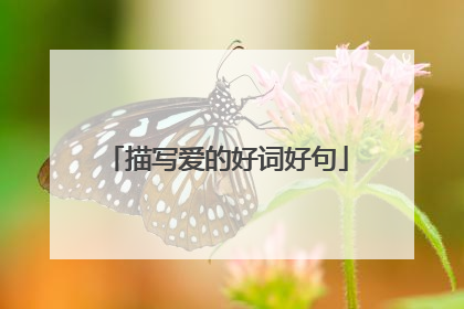 描写爱的好词好句