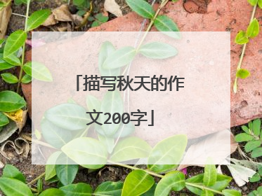 描写秋天的作文200字