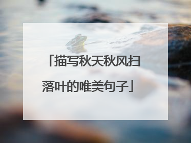 描写秋天秋风扫落叶的唯美句子