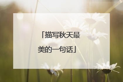 描写秋天最美的一句话