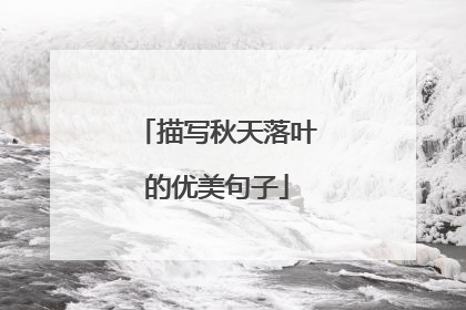 描写秋天落叶的优美句子