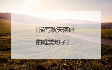 描写秋天落叶的唯美句子