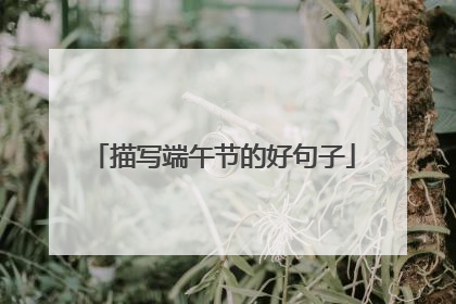 描写端午节的好句子