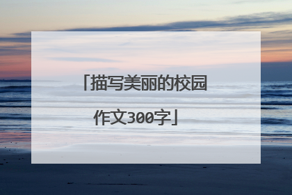 描写美丽的校园作文300字