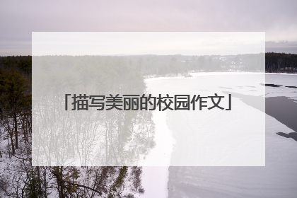 描写美丽的校园作文