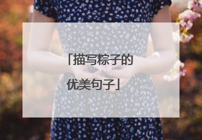 描写粽子的优美句子
