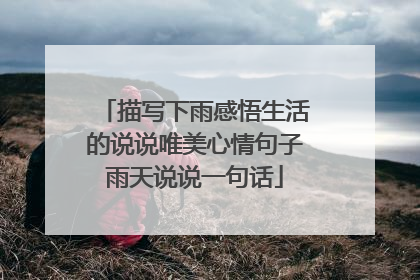 描写下雨感悟生活的说说唯美心情句子雨天说说一句话