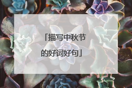 描写中秋节的好词好句