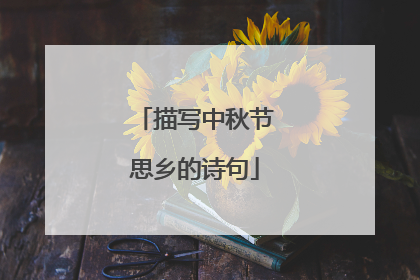 描写中秋节思乡的诗句