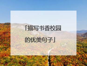 描写书香校园的优美句子