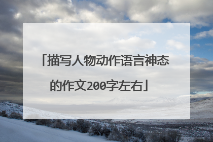 描写人物动作语言神态的作文200字左右