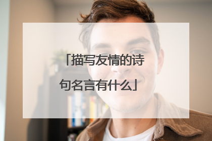 描写友情的诗句名言有什么