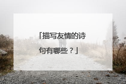 描写友情的诗句有哪些?