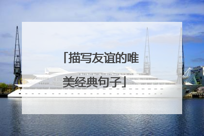 描写友谊的唯美经典句子