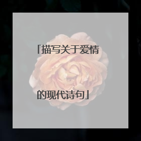 描写关于爱情的现代诗句