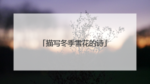 描写冬季雪花的诗