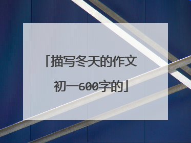 描写冬天的作文  初一600字的