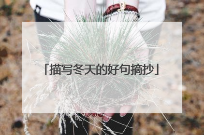 描写冬天的好句摘抄
