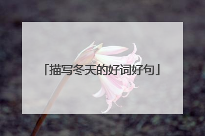 描写冬天的好词好句