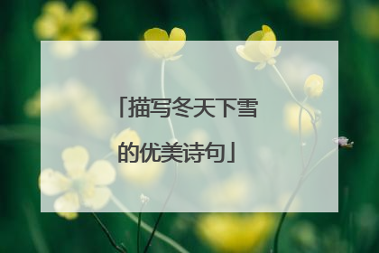 描写冬天下雪的优美诗句