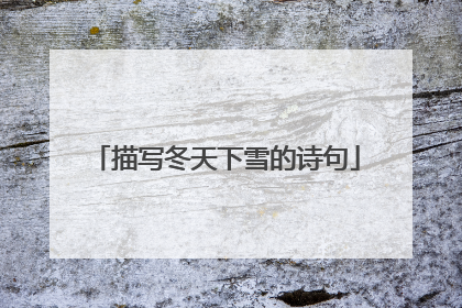 描写冬天下雪的诗句